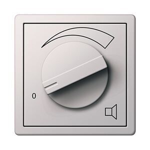 Volume Control with Relay (100W)