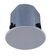 PANEL CONE SPEAKER F Series Ceiling